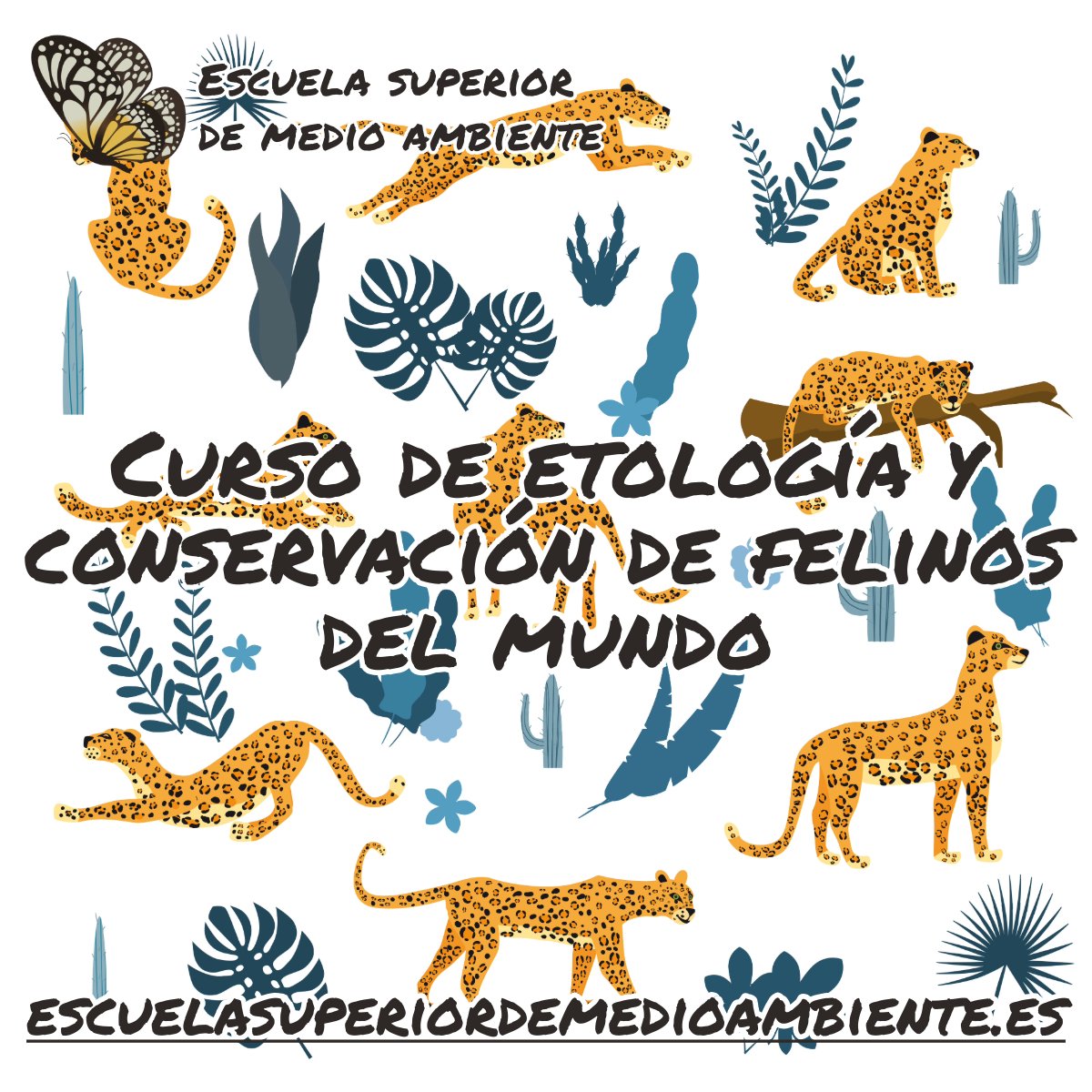 Curso de etología y conservación de felinos del mundo.