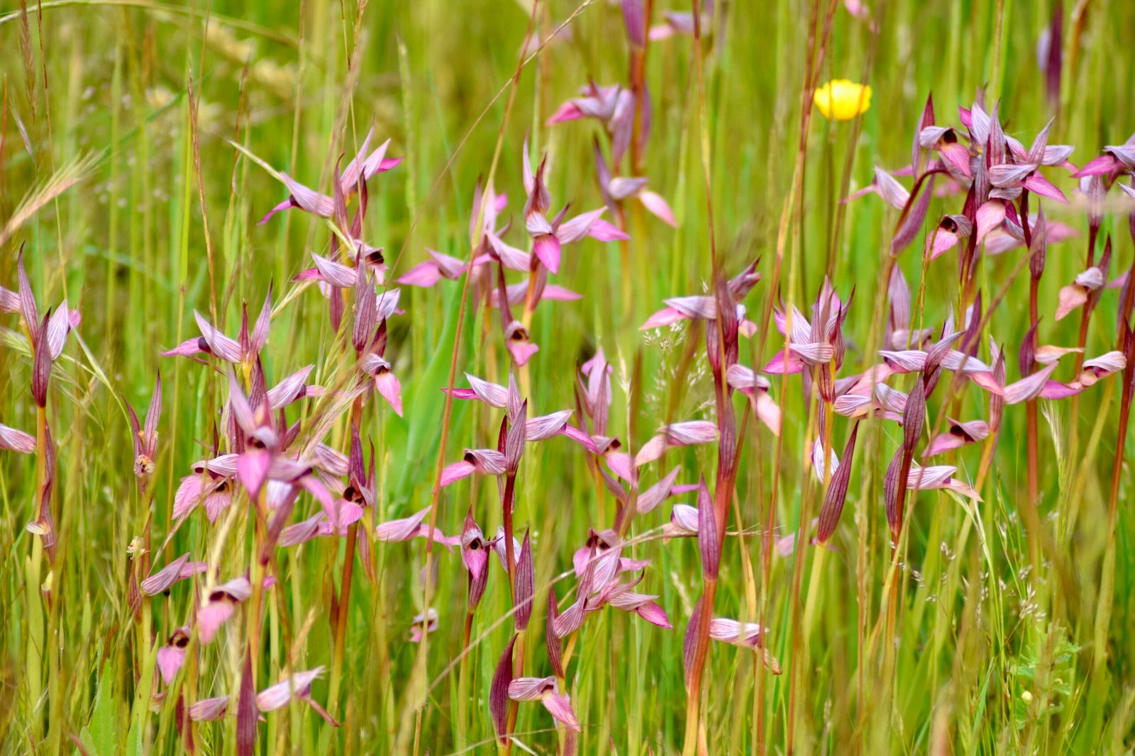 Bienvenido a nuestro blog