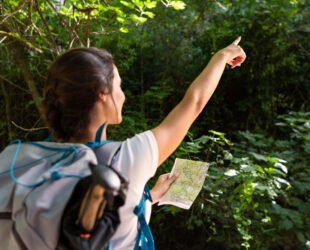 Cómo formarte como guía de naturaleza_ cursos y salidas profesionales